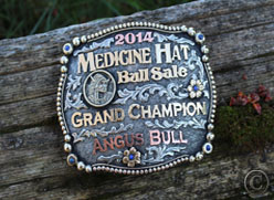 Medicine Hat Bull Sale
